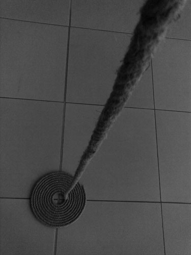 Click on image to see full-sized version Indian Rope Trick