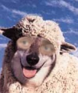 Click on image to see full-sized version Oh Bertie - What big Eyes you have...