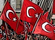 Click on image to see full-sized version turkeyflags.jpg