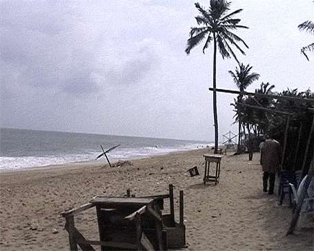 nigerian_5.gif