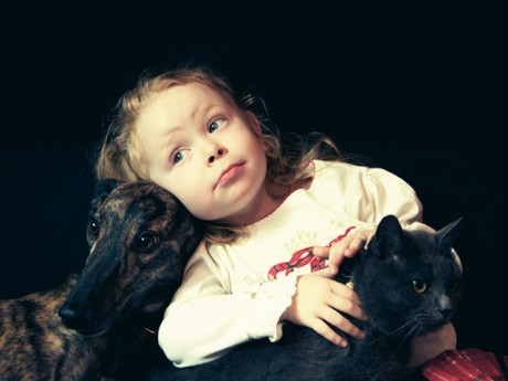 Click on image to see full-sized version Adopted Greyhound at home