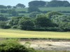 Excavations in the Tara Valley