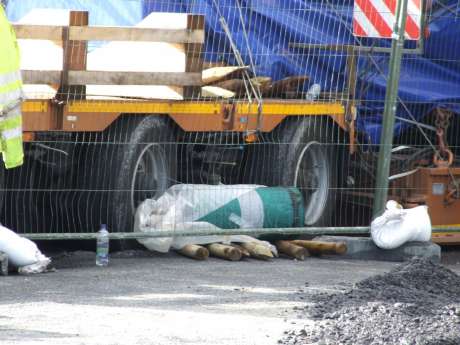 Toad surface buckling under turning wheels