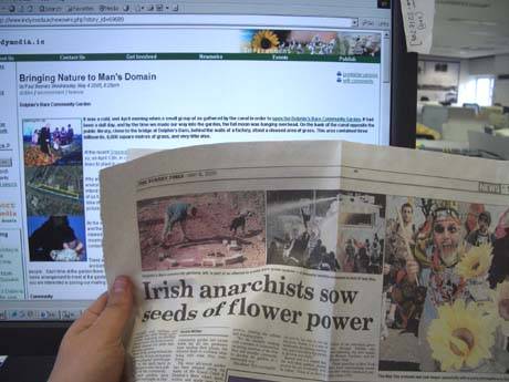 irish anarchists sow seeds of flower power