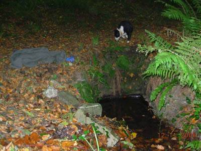 Click on image to see full-sized version St Bridget's Well, Crosshaven