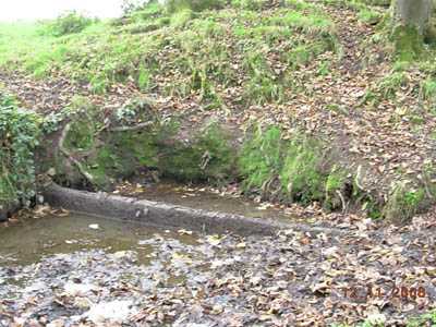 Click on image to see full-sized version St Patrick's Well, now watering hole for cows