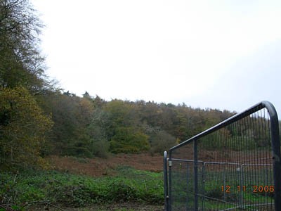 Click on image to see full-sized version Cruachan Woods in background, field in foreground was site of music festivals now marked for more houses