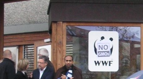 wwf international is supporting gm modified crop production which is displacing indegenous in latin america