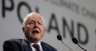David Attenborough at COP 24 pleading with world leaders to do something