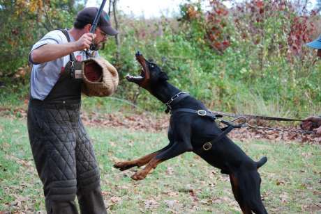 Just Imagine.....A liberal lefty on the receiving end.. aahh bliss!