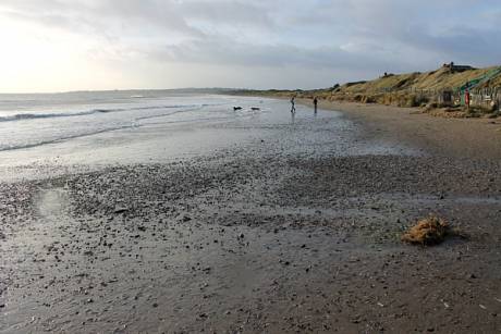 Corballis Beach on Sunday 30 December, 2012