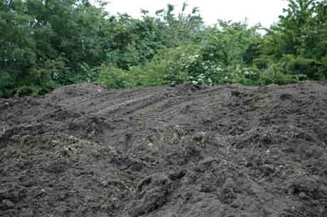 Note caterpillar track marks - no chance of artifact salvation here