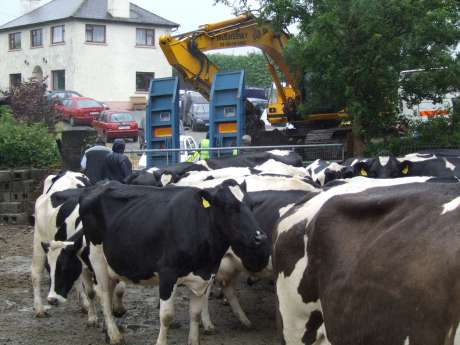 You�ll have to back into the cows.