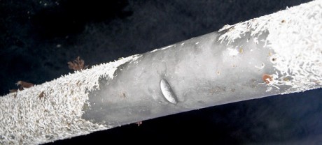 Israeli act of sabotage on MV Saoirse - probably an underwater explosive, same as done to other ship