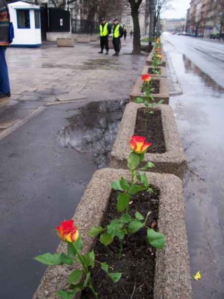 Remembering the victims of the Iraq War