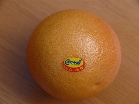 Click on image to see full-sized version israeligrapefruitdunnes.jpg
