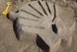 sand_shell.jpg
