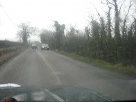 Ward Union Hound Carrier blocks road