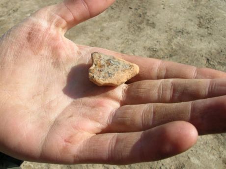 Lismullin find 1 April 2007