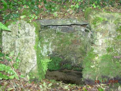 Click on image to see full-sized version Holy Well at Raffeen, south of Cork City