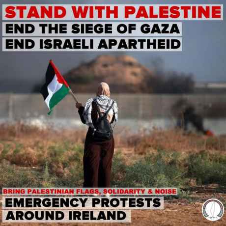 Click on image to see full-sized version stand_with_palestine_end_the_siege_of_gaza.jpg