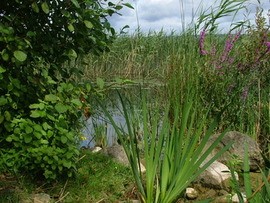 Click on image to see full-sized version By the lake.