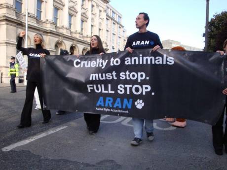 Click on image to see full-sized version picture_2.jpg