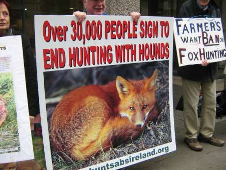 WE  keep fighting for hunted animals