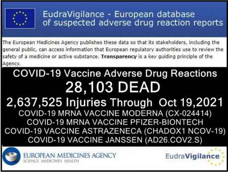 Click on image to see full-sized version These Vaccines Adverse Reactions database systems capture out most 10% of deaths and incidence so real figures at least 10 times higher