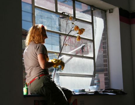 Click on image to see full-sized version Window cleaning at the new space
