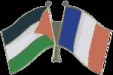 pl538_palestinefranceflagpins.gif