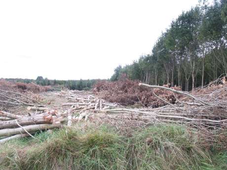 Damage done thus far.