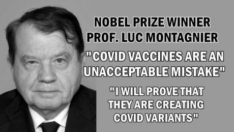 Click on image to see full-sized version nobel_prize_winner_luc_montagnier_covid_vaccines_are_creating_variants.jpg